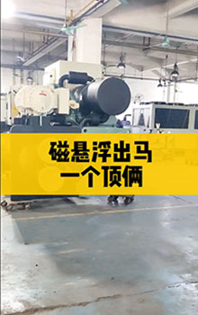 磁懸浮出馬，一個頂倆！